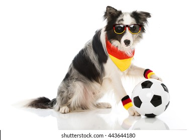 Soccer Dog