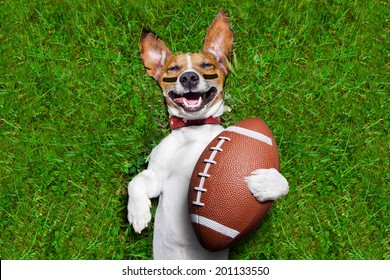 soccer dog holding a rugby ball and laughing out loud - Powered by Shutterstock