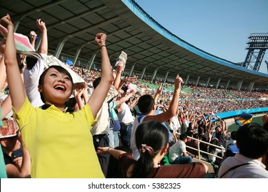 Soccer Fan