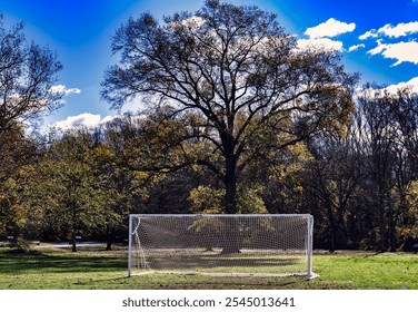 A soccer  goal on a pitch in a park - Powered by Shutterstock