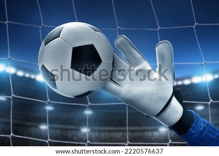 Soccer goalkeeper catches ball in the stadium
