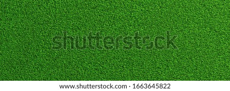 Soccer green grass as a panoramic banner background, banner size, EM 2020 Concept image