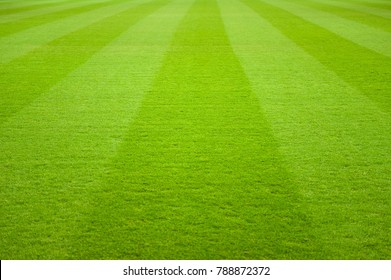 Soccer Green Grass Playing Field