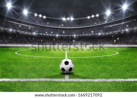The soccer stadium with the ball on the line