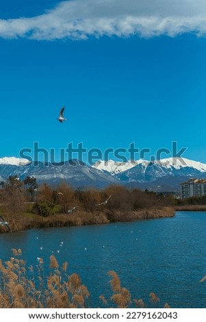 Sochi adler ornithological park with a pond and birds
