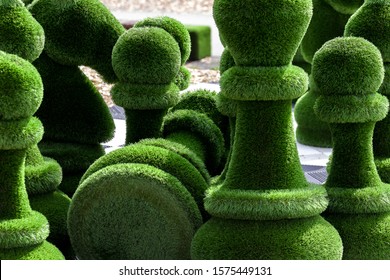 Sochi / Russia - October 10 2019: Topiary gardens. chess created from bushes at green animals. 
