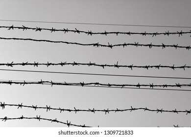 social justice abstract concept: with blurry barbed wire rod fence