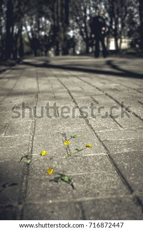 Similar – Image, Stock Photo subsist Environment Nature