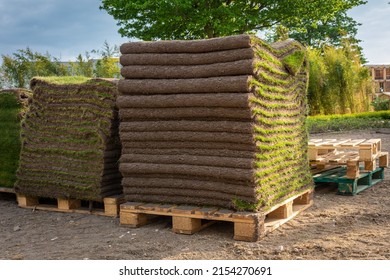 Sod grass on the pallet, fresh grass carpet rolls ready to be installed