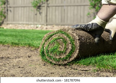 Sod For New Lawn