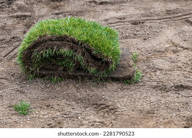  Sod for new lawn laying on brown soil ready to be layed on the ground by gardener - Shutterstock ID 2281790523
