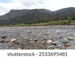 The Soda Butte Creek flowing through Yellowstone National Park in Wyoming