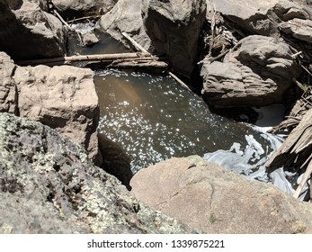 Soda Springs, Jemez Mountains New Mexico