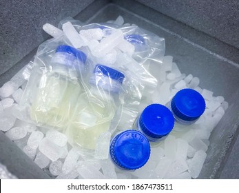 Sodertalje-Sweden - December 2020: Glass Vials With Blue Screw Caps On Dry Ice, Prepared For Transport In Professional, Styrofoam Container. Selected Focus.