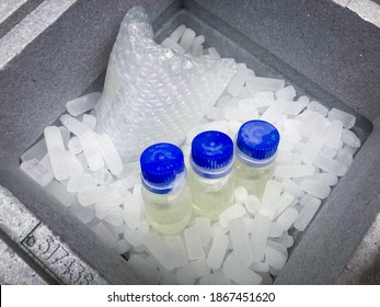 Sodertalje-Sweden - December 2020: Three Vials With Blue Screw Caps On Dry Ice, Surrounded By Mist Of Sublimating Dry Ice, Prepared For Transport In Professional, Styrofoam Container. Selected Focus.