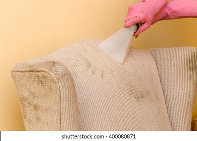 Sofa Or Armchair Chemical Cleaning With Professionally Extraction Method. Dirty Upholstered Furniture. Early Spring Cleaning Or Regular Clean Up.