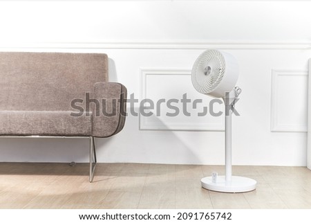 Sofa and circulator in the living room