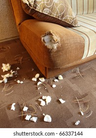 Sofa Damaged By Dog Teeth Made Hole