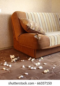 Sofa Damaged By Dog Teeth Made Hole