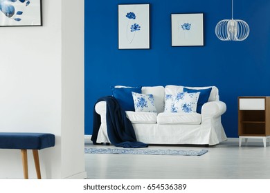 Sofa With Flowery Pillows In Cozy Blue And White Living Room