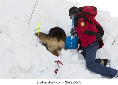 Sofia, Bulgaria - January 28, 2016: Saviors From The Mountain Rescue Service At Bulgarian Red Cross Are Training With Their Rescue Dogs A Situation Of People Buried In An Avalanche.