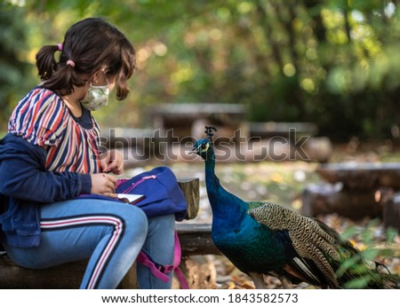 Sofia, Bulgaria, Oct 26 2020: A girl in protective mask is playing with a beautiful peacock in Sofia zoo