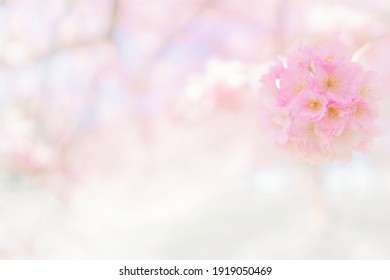 1,011,880 Nature background blur flowers Images, Stock Photos & Vectors ...