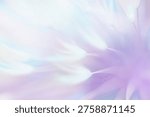 Soft abstract gradient background, abstract dandelion