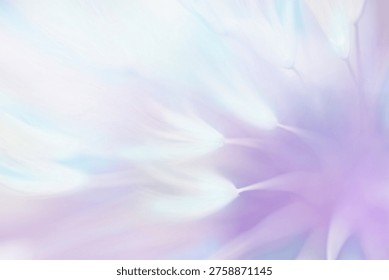 Fondo gradiente abstracto suave