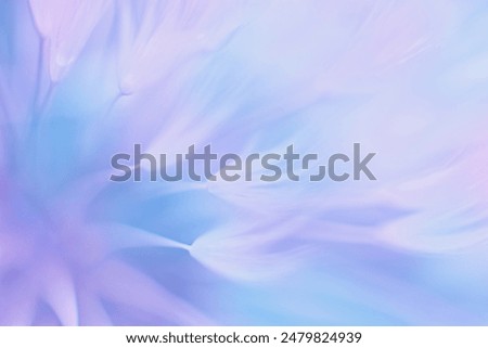 Soft abstract gradient background , abstract dandelion