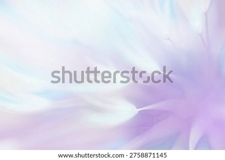 Soft abstract gradient background, abstract dandelion
