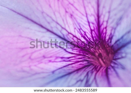 Similar – Image, Stock Photo Flower with bokeh Design