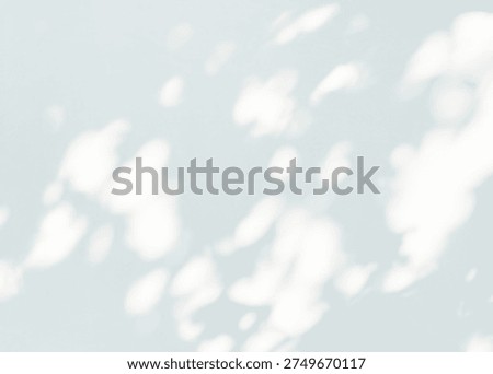 Soft Abstract Leaf Shadows on a Light Background
