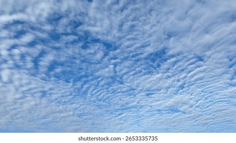 Soft altocumulus clouds create a delicate cloudscape against the pale blue sky, ideal for backgrounds suggesting vastness, or serene atmosphere.