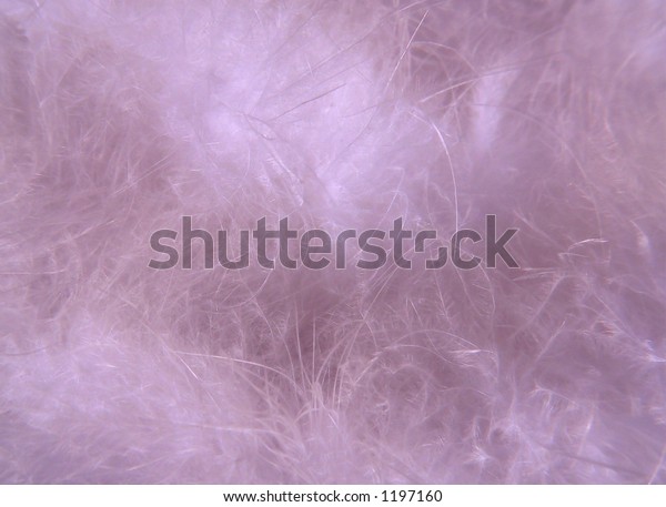 Soft Background Texture Feather Boa Bubblegum Stock Photo Edit
