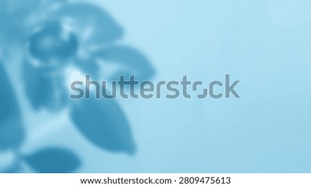 A soft blue background features the blurred shadows of leaves and flowers, creating a tranquil and artistic effect.
