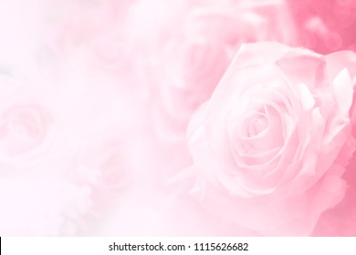 Pink Roses On Soft Silk Stock Photo 389797477 | Shutterstock