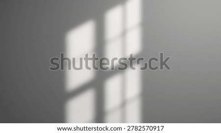 A soft, blurred shadow pattern from a window is cast onto a light gray wall, providing a minimalist and tranquil background.