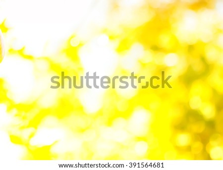 Soft blurred spring yellow  background with effect natural bokeah