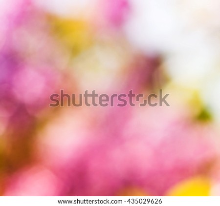 Soft blurred summer multi coloured background, design, effects, toning