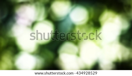 Soft blurred summer and spring yellow green background with effect natural bokeah, design, effects, toning, defocused