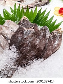 Soft Blurry Raw Food Fish Of Pomfret On The Ice. Pomfret Is A Type Of Fish From The Bramidae Family.      