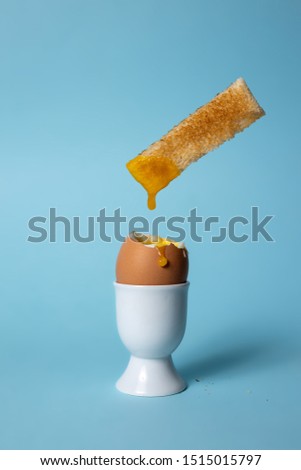 Soft boiled egg in egg cup on blue background with toast soldiers