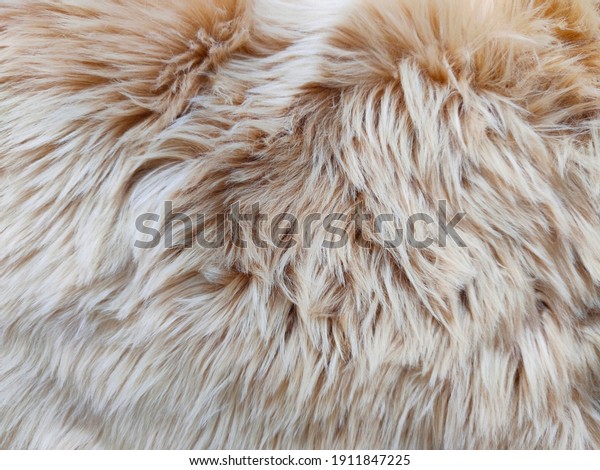 Soft brown sheep fur textured in pastel color\
for background