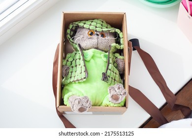 Soft Cat Toy In Clothes In Gift Box.