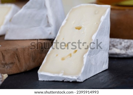 soft cheese with white mold close-up, pieces of cream cheese with white mold