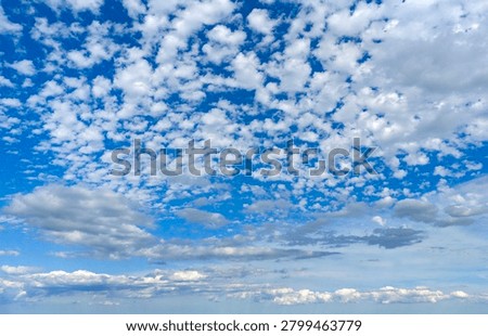 Soft cloud background under blue sky. Bright cloud background with cumulus. Natural cloud background above horizon. Clean cloud background for wallpaper.