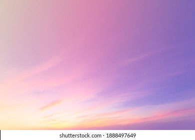 in pastel colored background