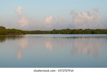 Soft And Colored Clouds Reflecting In Mirror-still Water Of A Tampa Bay Nature Preserve