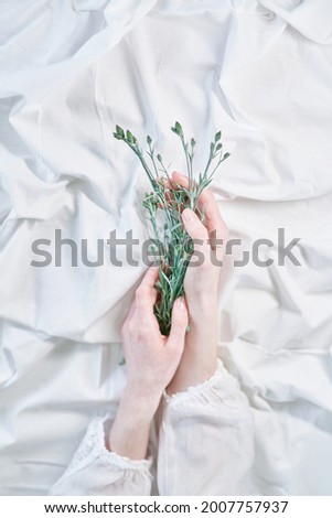 Similar – Hände einer Frau mit Blumenstrauß